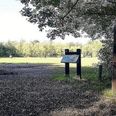 Trailcenterideen har forladt Skimminghøj-området, men politikerne pointerer, at de ønsker søerne inddraget i et center. Foto: Visit Skanderborg