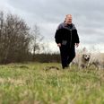 Klaus Schelander går dagligt ture langs Banestien med sine to hunde Thomas og Alfred. Hans indblanding i belysningen af Banestien får nu kommunen til at sætte projektet på pause, indtil det er klarlagt, om der er behov for yderligere undersøgelser af dyrelivet i området. Foto: Simon Carlson