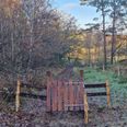 De fredede stier og veje op fra Bogens (Kirkestien og udsigtsstien) er nu hegnet ind i store folde - på trods af at Landsbygruppen klart har ønsket en løsning med kvægpassage i stedet, lyder det fra Leif Roed. Foto: Leif Roed.