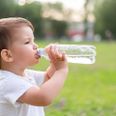 I kampens hede kan de små godt glemme alt om tørsten, og derfor er det ekstra vigtigt at holde øje med, om de får væske nok. Foto: Adobe Stock