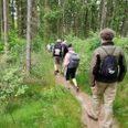 Pilgrimspræst, hvad er det? Det kan du blive klogere på til sogneeftermiddag i Veng 3. maj. Arkivfoto