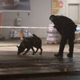 Politihund leder efter spor i nat på Circle K i Brabrand.