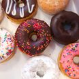 Donuts i alle afskygninger. Foto: Liz Hafalia/AP/Ritzau Scanpix