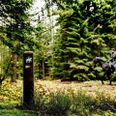 Foto: Mette Johnsen/Nationalpark Thy