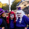 Magisk Halloween i efterårsferien tiltrak over 100.000 besøgende i Djurs Sommerland. Foto: Djurs Sommerland