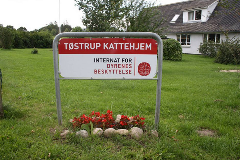Artiklens øverste billede