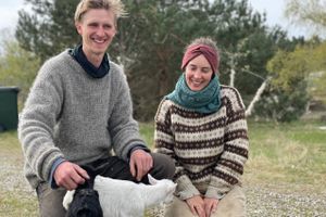 Jeppe Fonnesbo og Amalie Jakobsen har flokke af gamle husdyrracer gående på flere arealer rundt om Ebeltoft i et idealistisk projekt, som de håber, vil ændre måden, landbrug og natur i dag sameksisterer på