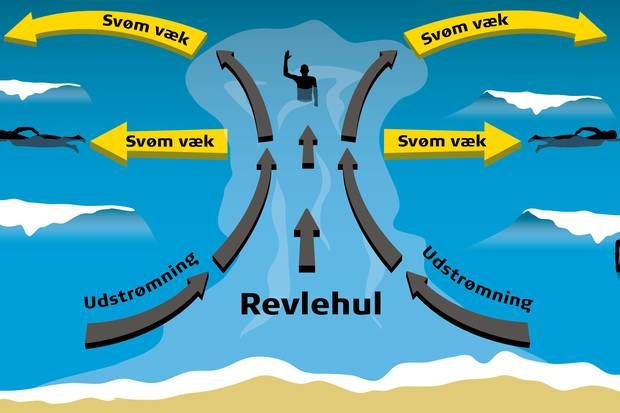Artiklens øverste billede