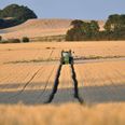 Ifølge Danmarks Naturfredningsforening bliver 59 procent af Favrskov Kommunes areal sprøjtet med pesticider. Foto: DN
