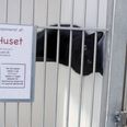 En stor del af dyreinternatets finansiering sker ved bidrag fra private og virksomheder.