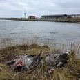 Der er konstateret fugleinfluenza i flere døde fugle omkring Udbyhøj. Foto: Kenneth Stoll-Demant