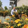 René Schumacher startede for to måneder siden blomsterbutikken De 4 Årstider i Ceres Byen, som han mener har taget rigtig godt imod ham.