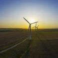 Vattenfall Vindkraft ønsker at opstille 12 nye møller på op til 180 meter som erstatning for mindre møller fra 2002 i Hollandsbjerg Enge. Foto: Vattenfall.