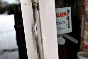 Politiet fandt flere genstande i grønt område.