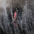 Førertyr med åbent kødsår: Foto: Per Øxenholt. Begge fotos er taget fredag/lørdag.