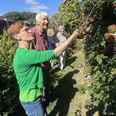 Fysioterapeut Esser Bartholin får havetips af Jørgen Bust. I baggrunden ses ergoterapeut Heidi Lyngberg-Laursen i snak med Jørgens kone Grethe. Foto: jr