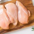 Polsk kyllingekød indeholdende salmonellabakterier er blevet solgt i foråret i supermarkedskæderne Netto, Føtex og Bilka, viser undersøgelse fra interesseorganisationen Landbrug & Fødevarer. Salling Group beklager og har indført strengene kontrol. (Arkivfoto)