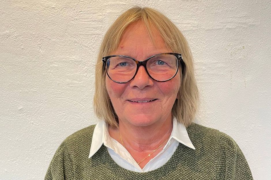 Artiklens øverste billede