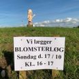 Lokalgruppe inviterer alle til at lægge blomsterløg i Festiwalther's rundkørsel. Foto: Jens Hvalsø