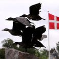 Flyvende fugle står ved hovedindgangen til plejecentret Fællesskabets Hus, som blev indviet i 2019. Foto: Michael Wulff