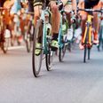 Der kan godt gå hen og blive trængsel på vejene, når 800 cyklister 30. august stævner ud. Arkivfoto: Adobe Stock