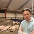 Med 28.000 pattegrise, der dagligt mister livet, rejser jeg spørgsmålet: Kan vi være det bekendt, lyder det fra Socialdemokratiets nuværende medlem af Europa-Parlamentet for Socialdemokratiet, Niels Fuglsang, og på stemmesedlen 9. juni. Pressefoto