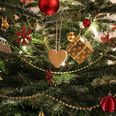 Smådyr kan gemme sig i juletræet, men der er ingen grund til panik, mener ekspert. Foto: PR