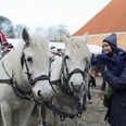 Benjamin var med mor Helle Horsbøl på julemarked. Højdepunktet var at klappe julemandens heste. De førte glade gæster og hestevognen frem og tilbage til Ulstrup og slottet. Foto: Kian Johansen