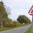 Skjult bag hækken og de høje træer ligger Skolen.com i landlig idyl i Homå.