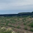 Syddjurs Kommune reagerer på fejlagtige citater om solcelleprojekter i pressemeddelelse fra 1KOMMA5. Kommunen præciserer, at 40 solcelleprojekter handler om tagarealer, ikke landjorden. Arkivfoto: Lars Norman Thomsen