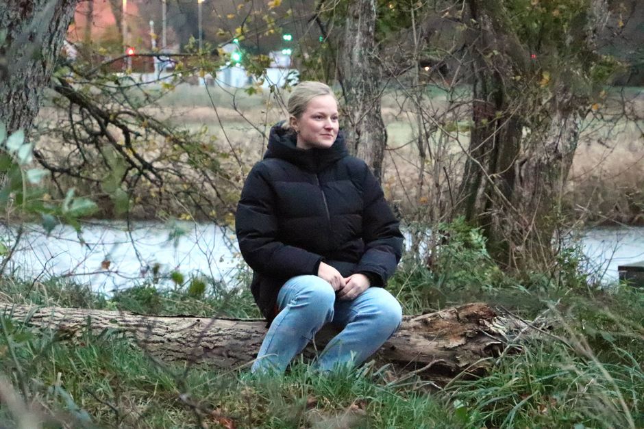 Artiklens øverste billede