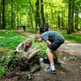 Du kan også være med til at kortlægge de arter, der findes i den danske natur. Det kan du gøre via appen ’Arter - indberetning’. Pressefoto