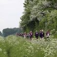 Det handler ikke om at komme i mål med den bedste tid, men om at hygge sig og få motion. I år er Ladywalk 28. maj.