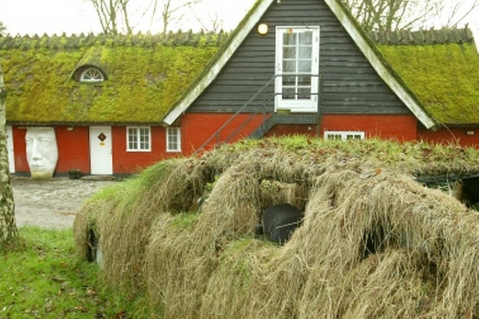 Artiklens øverste billede