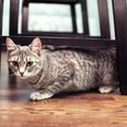 Arkivfoto: Adobe Stock