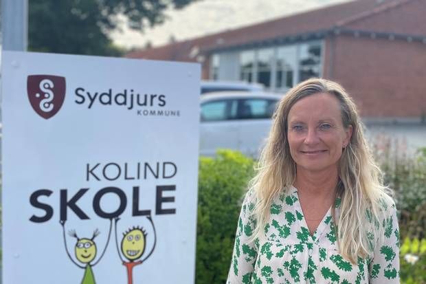 Artiklens øverste billede