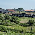 Hugormen foretrækker blandt andet at opholde sig i områder med klitter, heder og moser. De fleste opkald om hugormebid, som Giftlinjen modtager, kommer fra Vest- og Nordjylland, oplyser Anja Huusom, der er afdelingslæge på Bispebjerg Hospital. (Arkivfoto) - Foto: Henning Bagger/Ritzau Scanpix