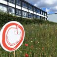 I Langkærparken i Tilst, som er en del af boligforeningen Al2bolig, har de etableret en vild blomstereng med frø fra blomsterfrøpuljen. Pressefoto