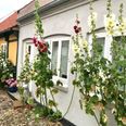 Regeringen vil hæve bøderne markant, så gentagne brud på bopælspligten kan koste op til 100.000 kroner. Arkivfoto