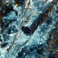 Adobestock