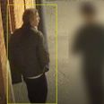 Det er denne mand, der efterlyses af politiet. Foto: Midt- og Vestjyllands Politi