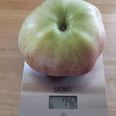 742 gram...