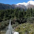 Yarsagumba forekommer kun i Himalaya og Tibet. Pressefoto