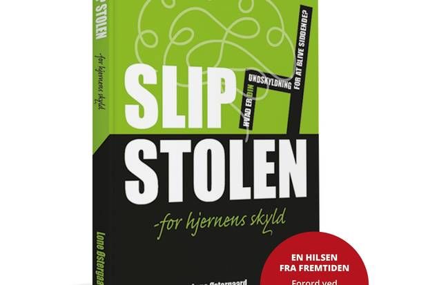 Artiklens øverste billede