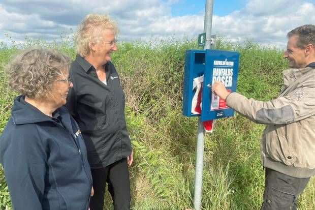 Artiklens øverste billede