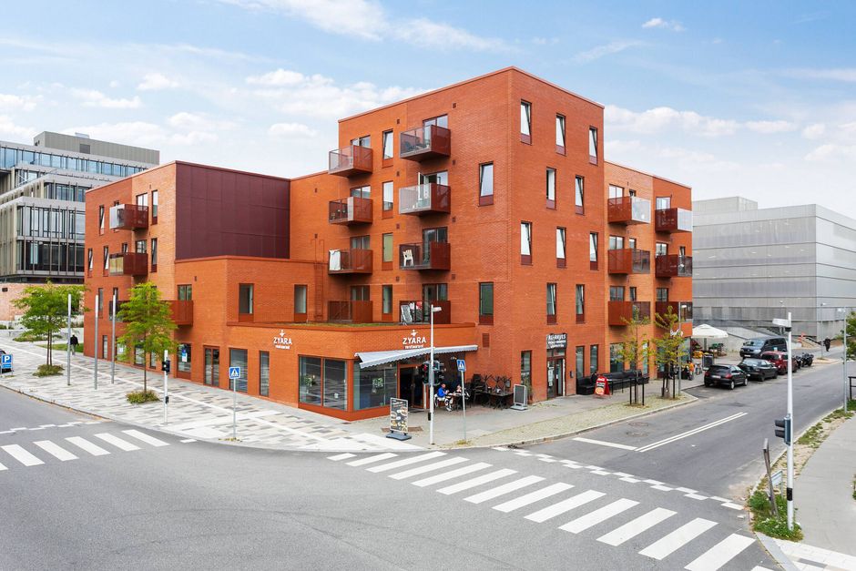 Artiklens øverste billede