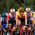 Du kan komme helt tæt på både internationale og danske cykelstjerne, når PostNord Danmark Rundt gæster Randers Kommune. Arkivfoto: Jens Dresling, Politiken