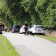 Politiet er i øjeblikket massivt til stede i Boeslunde nær Espe Gods, hvor de undersøger et »mistænkeligt forhold«. Foto: Presse-fotos.dk.