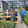 Det gode naboskab har været et nøgleord i Projekt Højvangen. Billedet er fra et arrangement i august i Beboerhaverne på Grundtvigs Vej, hvor beboerne kunne nyde klassisk musik og kagebord. Pressefoto