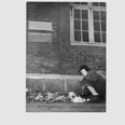Dengang 12-årige Jon Blichfeldt Møller lægger blomster på det sted, hvor hans far blev skudt. Både Jons far, faster og farmor var aktive i modstandskampen under Anden Verdenskrig. Jon Blichfeldt Møller døde i 2016. Han er begravet ved siden af sin far på kirkegåden ved Sct. Pauls Kirke i Hadsten.
